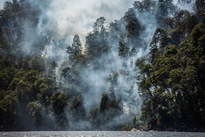 Incendios forestales: qué se espera para el verano y cómo se prepara el Gobierno