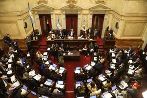 ¿Cómo se veta una ley en Argentina y qué rol juega el Senado? (Fuente: NA)