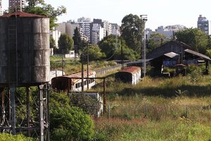 Tierras públicas en remate: el nuevo plan de Javier Milei para dejar tierra arrasada en el Estado