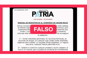 Con patitas cortas: el ejército de trolls de Milei intentó circular una fake news del Instituto Patria (Fuente: Archivo)