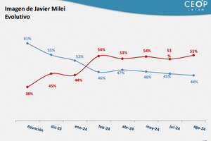 A nueve meses de gobierno, la imagen de Milei baja en un tobogán