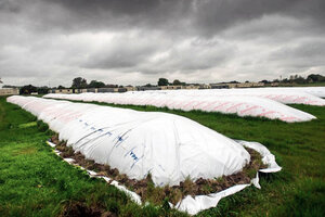 Habló Milei y los dólares del agro se asustaron (Fuente: Verónica Bellomo)