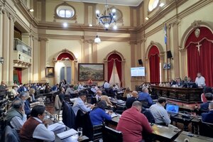 La prevención del dengue tensionó la sesión en Diputados 