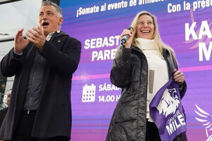 La Libertad Avanza ya es un partido provincial