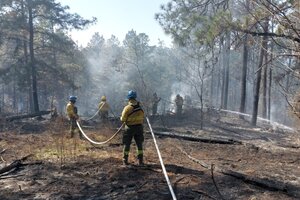 Incendios en Córdoba: detuvieron a un hombre por prender fuego en Calamuchita y dijo que "lo mandaron" (Fuente: Redes sociales)