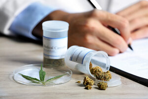 Axel Kicillof presentó un proyecto para regular por ley el autocultivo de cannabis medicinal y terapéutico