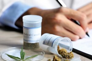 El Ministerio de Salud creó una categoría que engloba productos a base de cannabis para uso medicinal