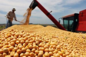 Del campo a la billetera, cómo impacta el precio récord de la soja en el bolsillo de los argentinos