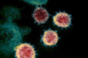 Los 5 datos sobre la nueva cepa del coronavirus que tiene en vilo a Reino Unido