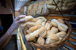 Peligra la producción de pan por falta de harina