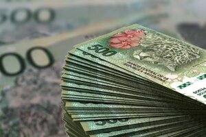 Peso argentino, entre las monedas más devaluadas frente al dólar en 2021