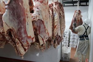 Del campo a la mesa: por qué aumenta el precio de la carne