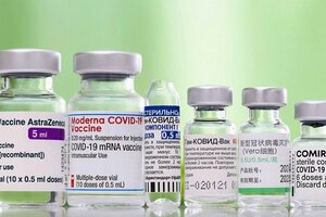 Vacunas: virólogos afirman que la combinación es lo "ideal" ante la situación epidemiológica