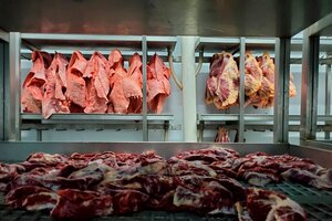 Cuáles son los 7 cortes de carne populares que no podrán exportarse durante dos años