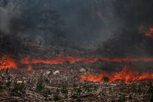 Sequías, incendios y cambio climático: declaran la emergencia ígnea en todo el país