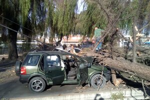 El viento Zonda arrasó Mendoza: voladura de techos, árboles caídos, incendios y clases suspendidas