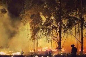 Drama en Corrientes por los incendios forestales que ya arrasaron más de 500 mil hectáreas