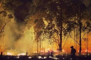 Corrientes: 50 brigadistas se suman al combate de los incendios