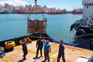 Mar del Plata: roban 600 litros de cerveza que estaban sumergidos en el fondo del mar