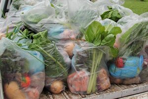 La UTT entregará 3.000 bolsones de verduras a la población aislada de villa azul