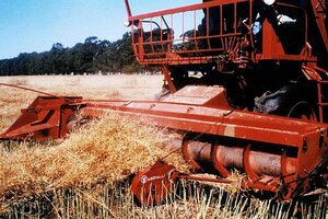 Fernando Borroni: “El campo no puede arrogarse el derecho a jugar con la comida de nuestras mesas”