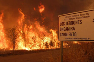 Incendios en Córdoba: alertan por la pérdida de biodiversidad