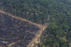 Selva amazónica: por primera vez en la historia, emite más dióxido de carbono del que es capaz de absorber