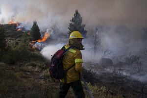 Incendios en la Patagonia: "Estamos ante un fenómeno global y asociado al cambio climático"