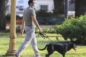 Clima en Buenos Aires: el pronóstico del tiempo para este viernes 7 de enero