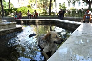 Clima en Buenos Aires: el pronóstico del tiempo para este viernes 14 de enero