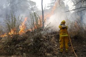 Incendios en Córdoba: el desgarrador relato de cómo un hombre murió alcanzado por las llamas