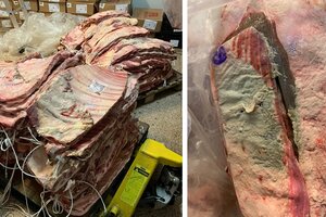 El supermercado La Anónima quería vender una tonelada de carne podrida en Venado Tuerto