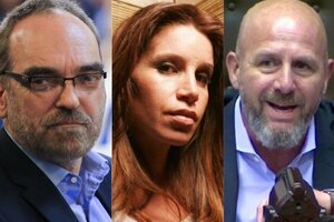Estela Díaz: "Fernando Iglesias es un patotero"