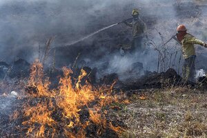 Incendios en Corrientes: el gobierno provincial anunció un paquete de asistencia para productores agropecuarios