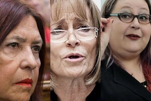 Penalista y mujer: las candidatas que analiza el Gobierno para reemplazar a Highton de Nolasco