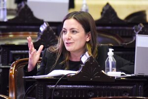 Vanesa Siley: “La Reforma Judicial fue pedida por la gente votando al Frente de todos”