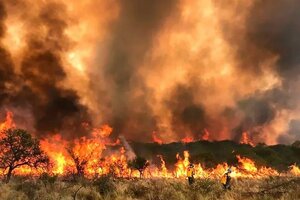 El fuego no da tregua: cinco provincias con incendios y preocupación en el sur