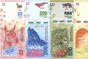 El BCRA anunció que el cambio de billetes "no tendrá costos extra"