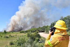 Incendios: casi 300 mil hectáreas arrasadas y 3.000 millones de pesos destinados al manejo del fuego