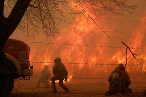 Gabriel Fuks: “El 95% de los incendios en el país son producto de la mano del hombre”