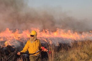 Sergio Federovisky reconoció errores por los incendios en Corrientes: "El cambio climático llegó"