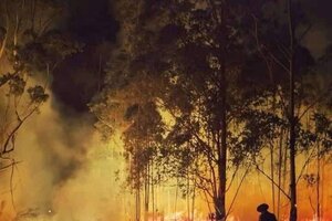 Mauricio Macri criticó al Gobierno por los incendios en Corrientes