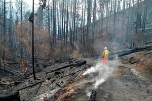 Aprueban declarar zonas de desastre las afectadas por los incendios forestales en la Patagonia
