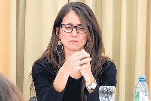 Elizabeth Gómez Alcorta: "En general todos los delitos bajaron pero los femicidios no"