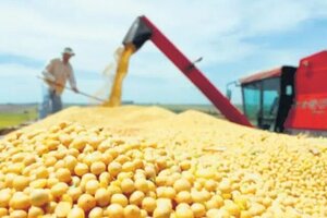 Suspenden exportaciones de harina y aceite de soja y el Gobierno subiría las retenciones