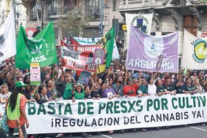Marihuana: El Ministerio de Seguridad propone estudiar la posibilidad de su despenalización