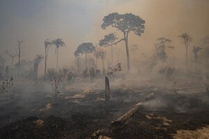 Brasil: Pantanal, el mayor humedal del planeta, en peligro por los incendios forestales