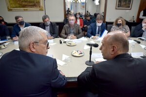 Julián Domínguez y Omar Perotti encabezaron la reunión del Consejo Federal Agropecuario