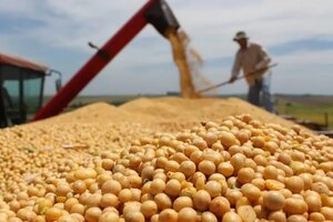 El Gobierno ratificó que “no habrá aumento generalizado" en las retenciones al maíz, soja y trigo