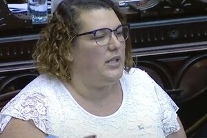 La curiosa propuesta de una diputada celeste: “Si tanto les molesta Dios, sáquenlo de la Constitución” 